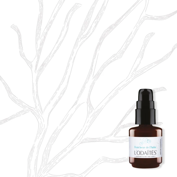 Fraicheur de L'Aube - Contour Des Yeux - 15ml